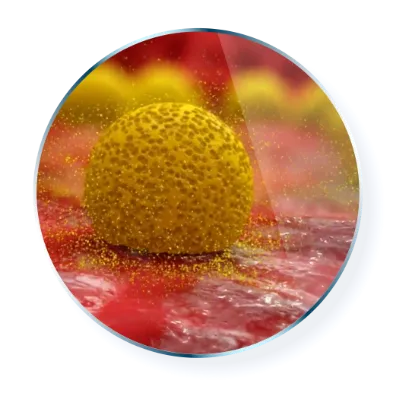Microsphere of drug released on gum