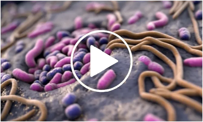 Video thumbnail of different bacteria